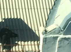 Уснувший на покатой крыше многоэтажки «Малыш» вызвал ироничные насмешки у жителей Ростова