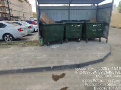 После публикации в Пролетарском районе ликвидировали зловонную свалку возле ЖК