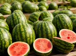 Из-за жары урожай арбузов на Дону сократился вдвое