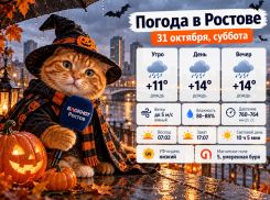 Дождливый Хэллоуин: в Ростове 31 октября ожидается до +14 градусов