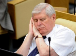 Ростовских чиновников обяжут выполнять этический кодекс