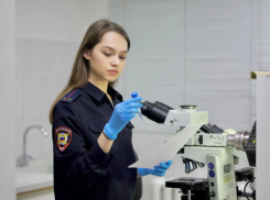 Полиция Дона хранит у себя более 400 кг наркотиков