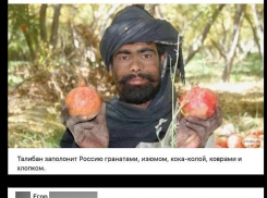 Молодого ростовчанина оштрафовали за гневный комментарий про «Талибан»