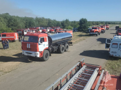 В Ростовской области продолжает гореть лес и еще 8 новых участков  