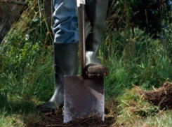 Бывший зэк при помощи друга задушил свою тещу и приковал к дереву ее сестру под Ростовом