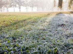 Штормовое предупреждения из-за заморозков объявлено в Ростовской области 