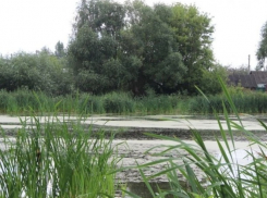 В Ростовской области на берегу реки обнаружили мертвую школьницу 