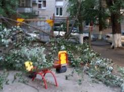 Огромное дерево с треском обрушилось на детскую площадку в Ростове