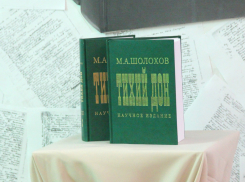 Первый экземпляр научного издания романа «Тихий Дон» передал губернатор Ростовской области Владимиру Путину