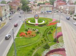 Власти Ростова-на-Дону потратят 167,6 миллионов рублей на озеленение города