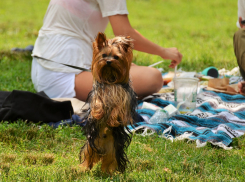 Роспотребнадзор дал советы ростовчанам по отдыху на майские праздники