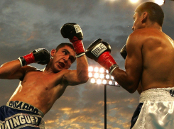 Восемь боксеров из Ростовской области получат шанс выступить на Олимпиаде