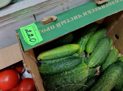 Власти не заметили скачка цен после закрытия рынков под Ростовом