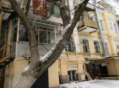 Деревья решили срубить в центре Ростова ради строительства элитного дома