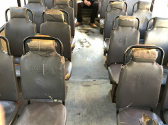 Неуравновешенные дикие обезьяны погрызли кресла в ожидании ЧМ-2018 в Ростове