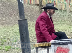 Забавный «Малиновый шериф» запретил выгул собак без поводка в Ростове