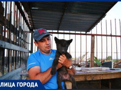 «У людей страх. Они не понимают, что это такое»: Артур Бегларян приручил волка и хочет создать идеального гибрида