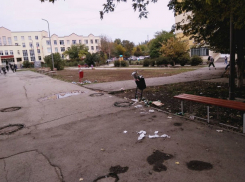 Превратившие территорию возле лицея в свинарник коммунальщики вызвали ненависть ростовчан 