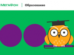 В сети запущены курсы по подготовке к ЕГЭ