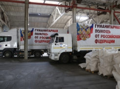 Автомобильная колонна МЧС России доставила гуманитарную помощь жителям Донбасса и вернулась в Ростовскую область