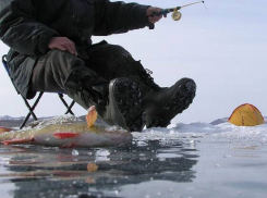Провалившийся в воду рыбак едва не замерз насмерть в Ростовской области