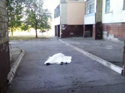 Молодую жительницу Ростова убили и выбросили из окна многоэтажки в  Казани