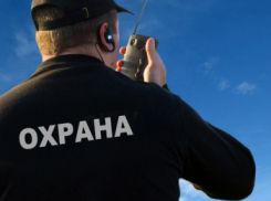 В Ростове готовы трудоустроить работников в группы быстрого реагирования