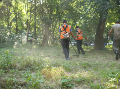 В Ростове во время массового субботника вывезли более 160 тонн мусора