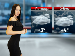 На выходных в Ростове будет пасмурно, но тепло