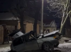 В Батайске машина протаранила дерево, водитель и пассажирка чудом выжили