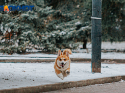 В Ростове 17 марта ожидаются снег, гололед и похолодание