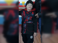 «Ушел в сторону леса и не вернулся»: в Ростовской области разыскивают пропавшего 10-летнего мальчика