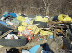 Экологи нашли устроившего свалку медицинских отходов возле Ростовского моря 