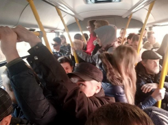 «Горячую линию» для недовольных транспортом пассажиров открыли в Ростове