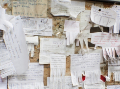 Победить незаконную расклейку объявлений в Ростове поможет новый проект