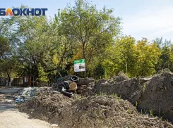 Благоустройством ростовского парка «Дружба» должен будет заняться департамент координации строительства