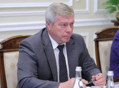 Власти Ростовской области прогнозируют рост зарплат и снижение бедности к 2024 году
