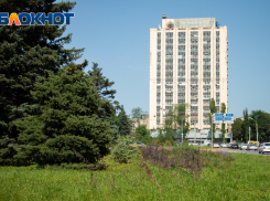 Тендер на озеленение Ростова сорвался из-за единственной заявки