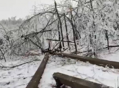 В Ростовской области 150 тысяч человек остаются без света из-за ледяного дождя 