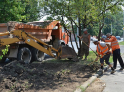 В Ростове приводят в порядок придорожные газоны 
