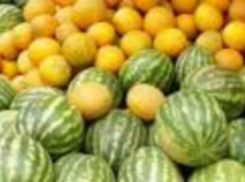 350 кг арбузов и дынь изъяли у ростовских торговцев-нелегалов  