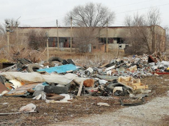 Один из старейших вузов Ростовской области разрушается на глазах