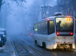 В Ростове может вырасти стоимость проезда в электротранспорте