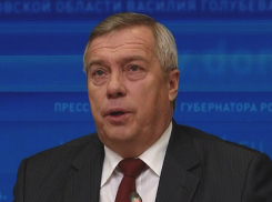 «Беспокоиться стоит насчет ее детей»: Василий Голубев прокомментировал арест активистки «Открытой России»