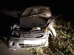 В Ростовской области в лобовом ДТП пострадали двое детей и четверо взрослых