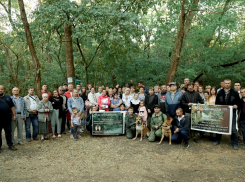 В Ростове жители попросили Путина и Голубева защитить рощу СКА от застройки