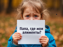 Судебные приставы назвали районы Ростова с наибольшим числом алиментщиков