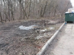Свалку у Можайской рощи в Ростове ликвидировали после жалоб жителей в «Блокнот Ростов»