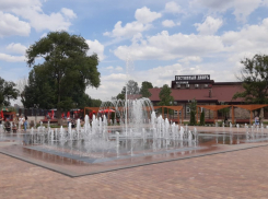 Власти Ростова заявили о безопасности фонтана в парке на Левобережном