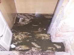 Канализационные ужасы вынудили возмущенных жителей ростовского дома обратиться к президенту России